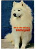 サモエド古本 How To Raise And Train a Samoyed