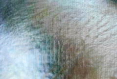 �A���X�J���}���~���[�g�t���A�}�b�g�m�Q�C�̃}���~���[�g�n