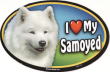 TGh}OlbgmI LOVE SAMOYEDn