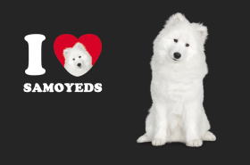 TGh}OJbv[I LOVE SAMOYED]