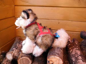 ���茢�ʂ�����݂�����n�[�l�X�t���i�r�T�C�Y�j